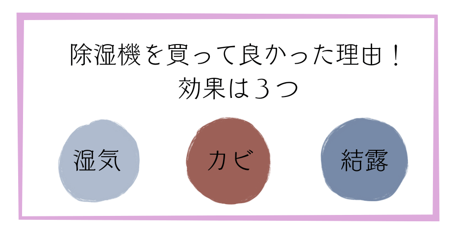 デシカント式やコンプレッサー式の衣類乾燥除湿機は排水口で連続排水ホースがあるダイキンのカライエなどの乾燥機をおすすめします